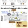Mechanisms of resistance to BCL-2 inhibition
